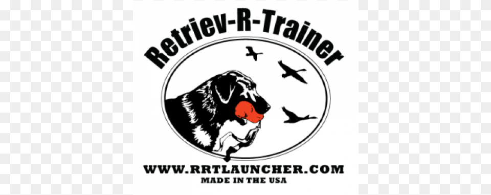 Retriev R Trainer Bernese Mountain Dog, Animal, Bird, Logo, Adult Free Transparent Png