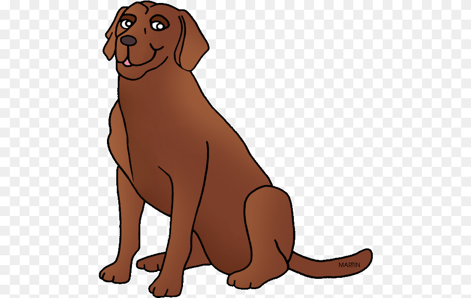 Retriever Clipart Chocolate Lab Chesapeake Bay Retriever Clipart, Animal, Canine, Dog, Puppy Png