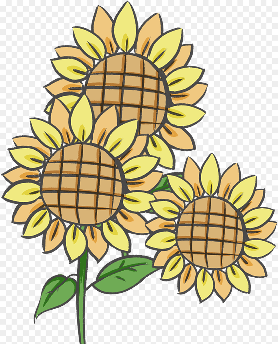 Retro National Wind Sun Flower Plant Sunflower, Daisy Png Image