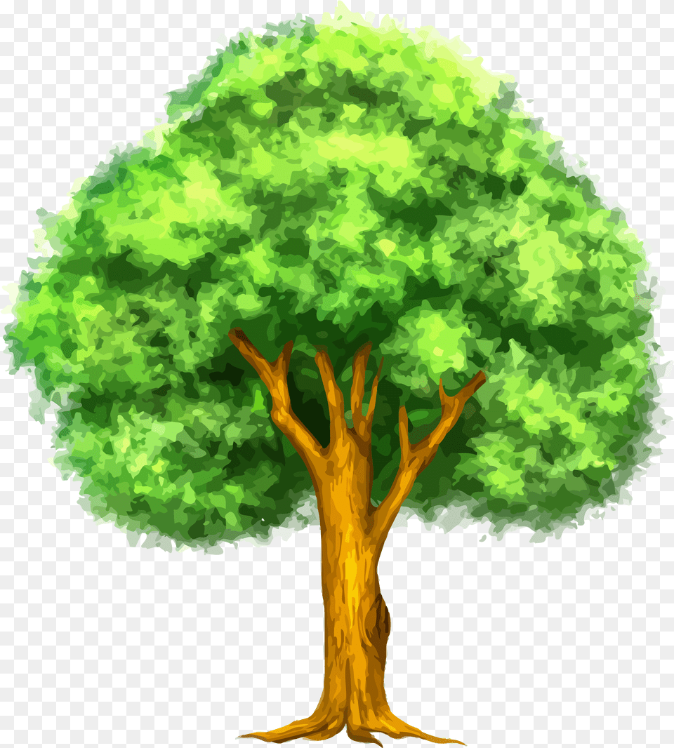 Retro Tree Clipart Vintage Trees U2013 Clipartlycom Trees Clipart, Plant, Vegetation, Oak, Sycamore Free Transparent Png