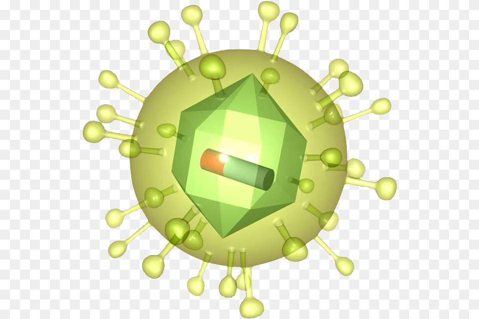 Retrovirus Circle, Green, Accessories, Jewelry, Gemstone Free Png Download