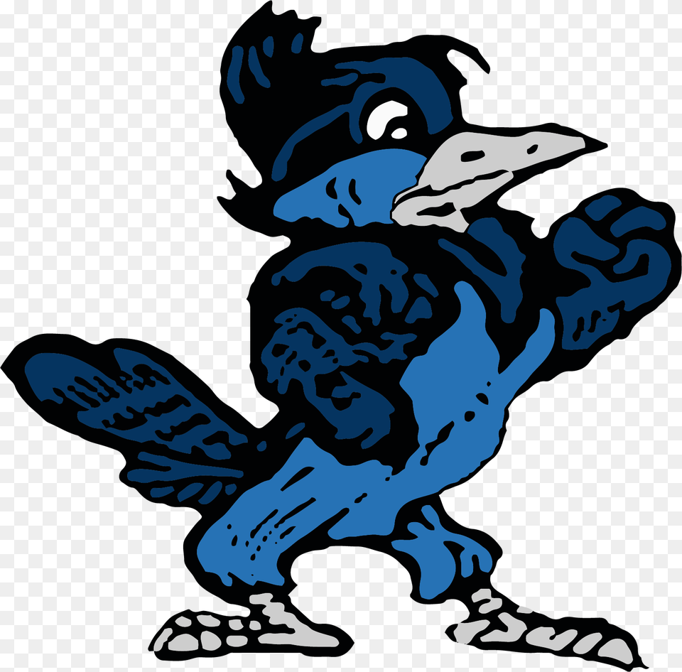 Return Home Shepherd High School Blue Jays, Animal, Beak, Bird, Vulture Png Image