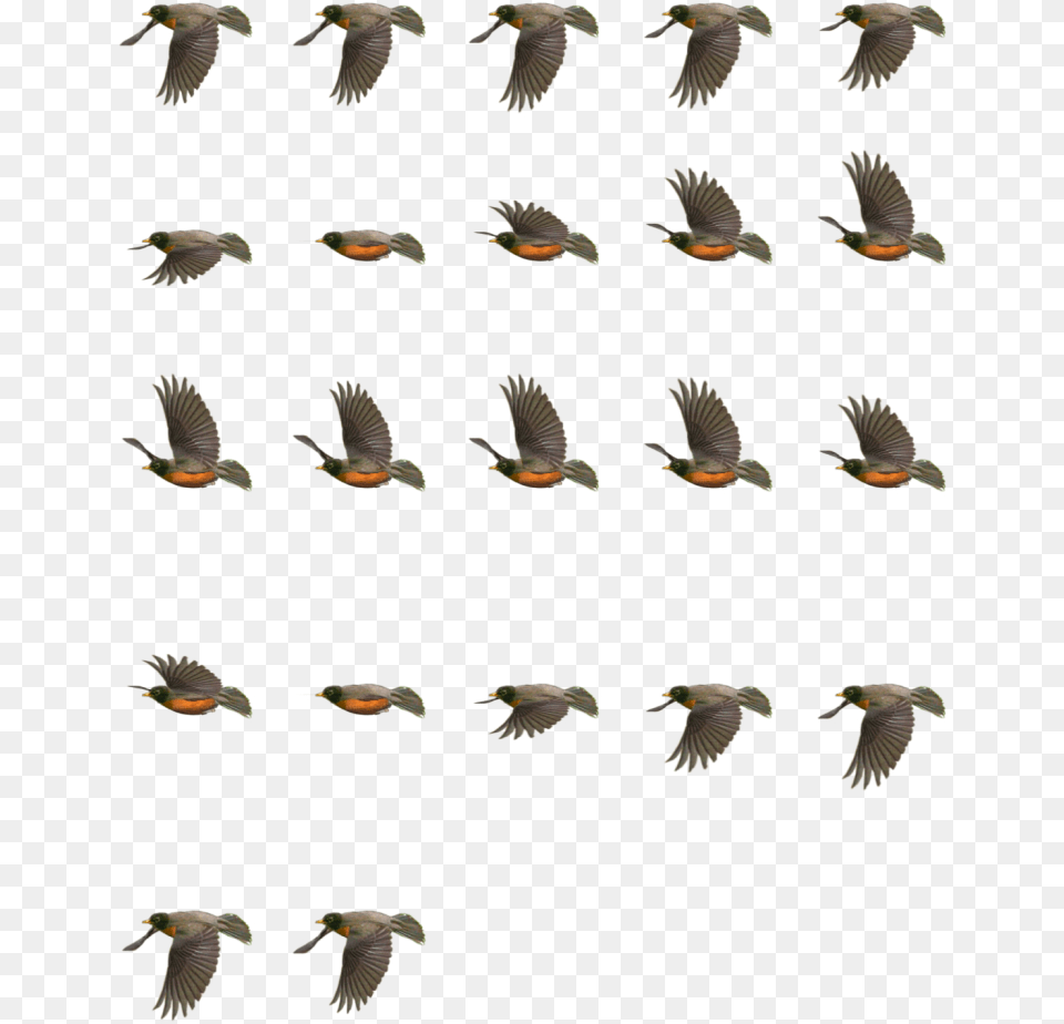 Return Of The Animated Gif 2d Bird Flying Animation, Animal, Flock, Fish, Sea Life Png