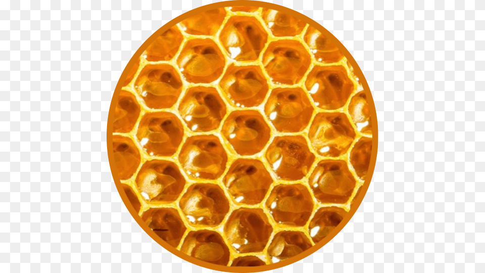 Return Of The Bees, Food, Honey, Honeycomb Free Transparent Png