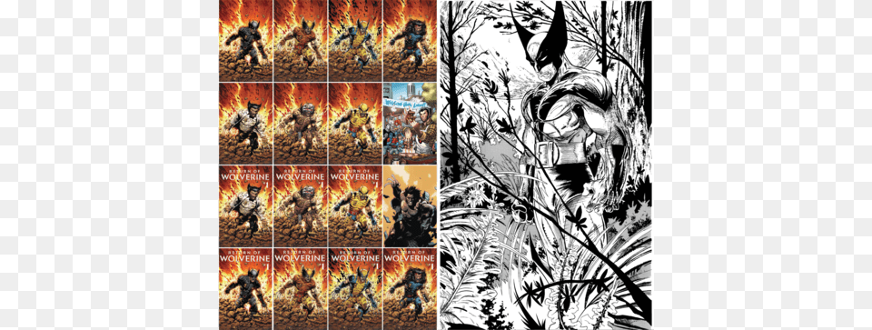 Return Of Wolverine Return Of The Wolverine, Book, Comics, Publication, Adult Png