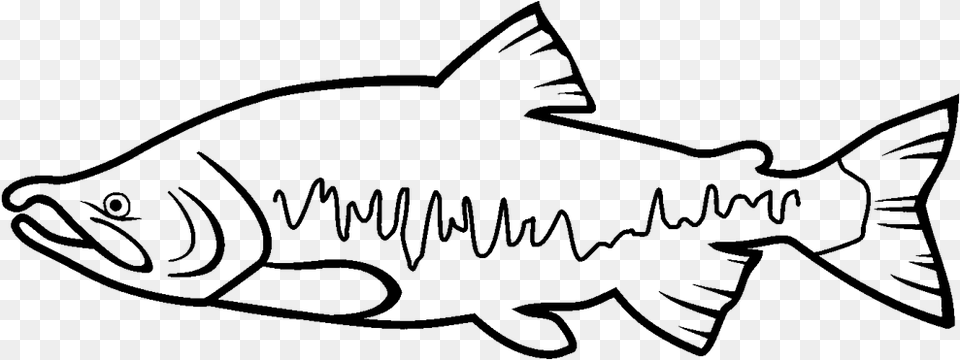Return To Elwha Salmon Clipart Black And White, Gray Png