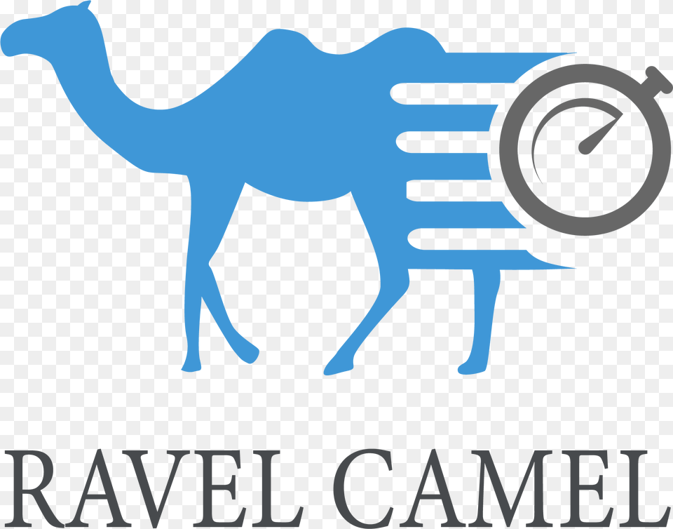 Reusable Magical Nano Tape Arabian Camel, Animal, Mammal, Person Free Png