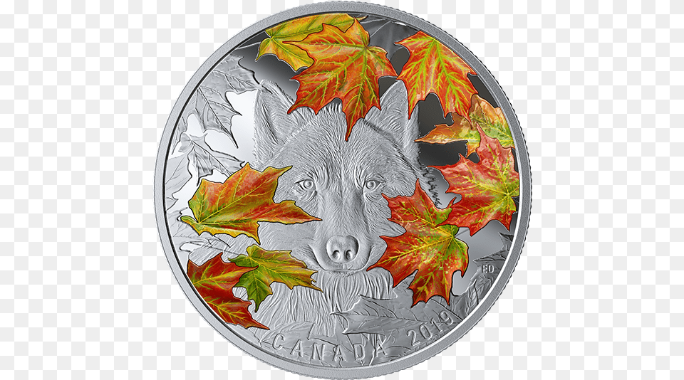 Rev 570 Coin, Leaf, Plant, Silver, Tree Png