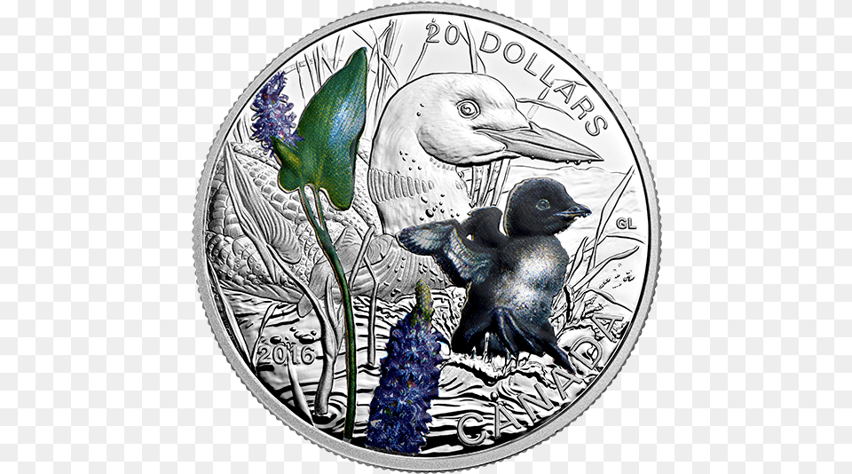 Rev 570 Hummingbird, Silver, Animal, Bird, Money Png