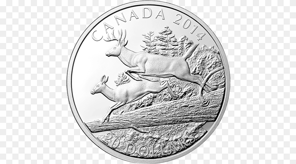 Rev 570 Quarter, Silver, Animal, Antelope, Mammal Png