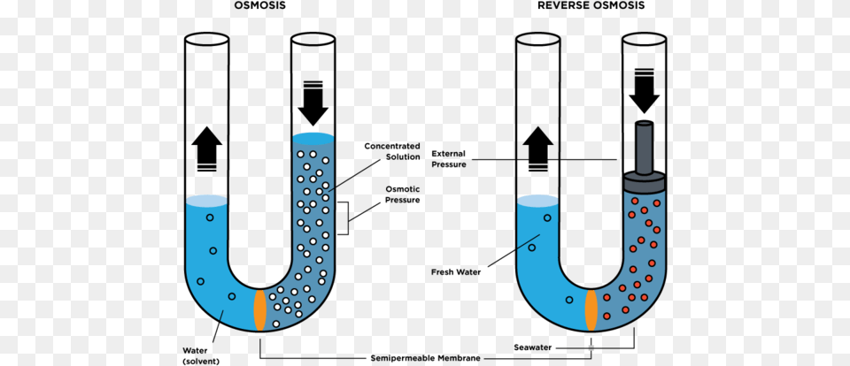 Reverse Osmosis Osmotic Pressure Osmosis, Smoke Pipe, Electronics, Hardware, Horseshoe Free Png