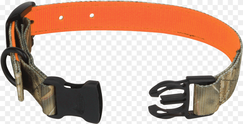 Reversible Dog Collar Studio, Accessories, Buckle, Belt Free Transparent Png