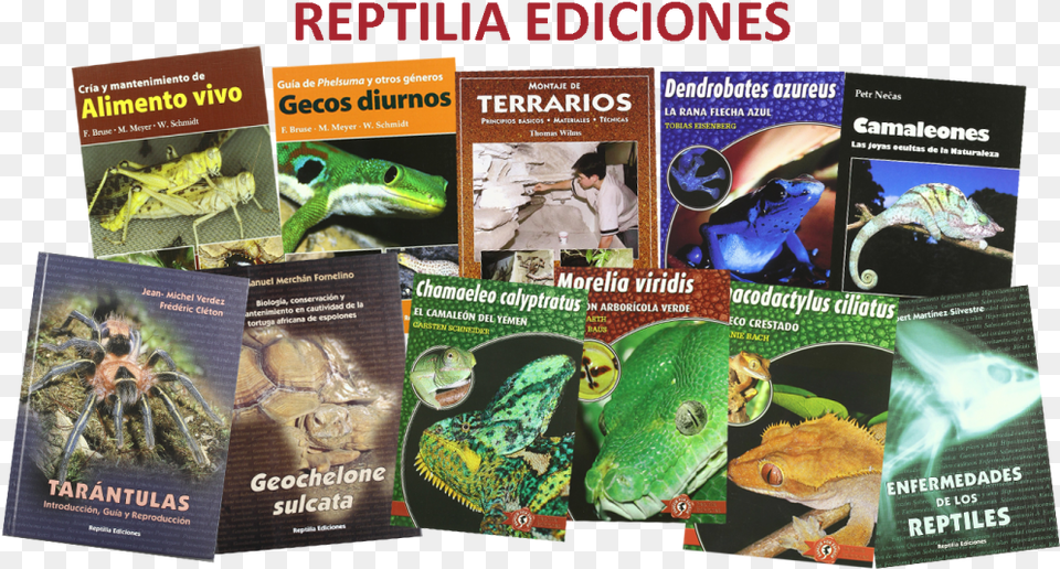 Revistas De Reptiles, Advertisement, Poster, Dinosaur, Animal Png