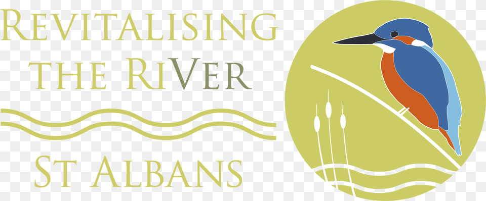 Revitalising The River Logo Graphic Design, Animal, Beak, Bee Eater, Bird Png