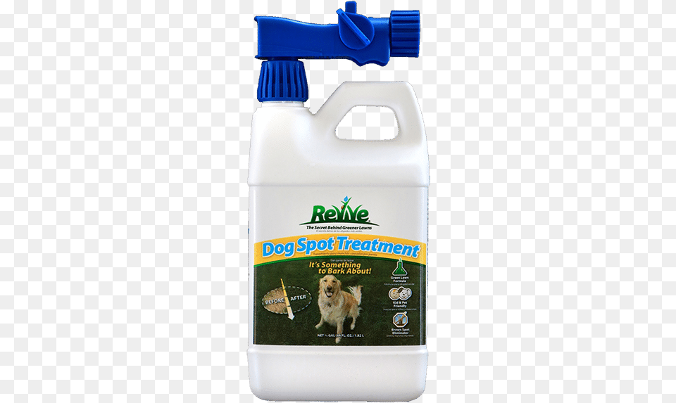 Revive Dog Spot Treatment Pembroke Welsh Corgi, Animal, Canine, Mammal, Pet Free Png Download