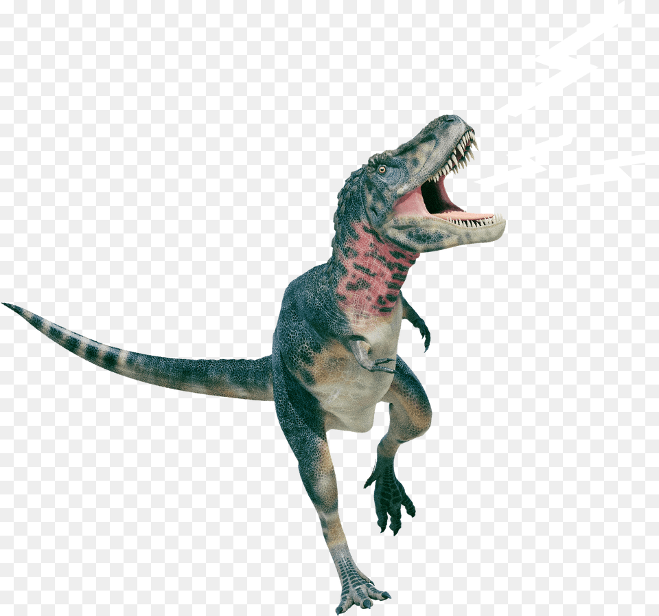 Rex Brllt Animal Figure, Dinosaur, Reptile, T-rex Png