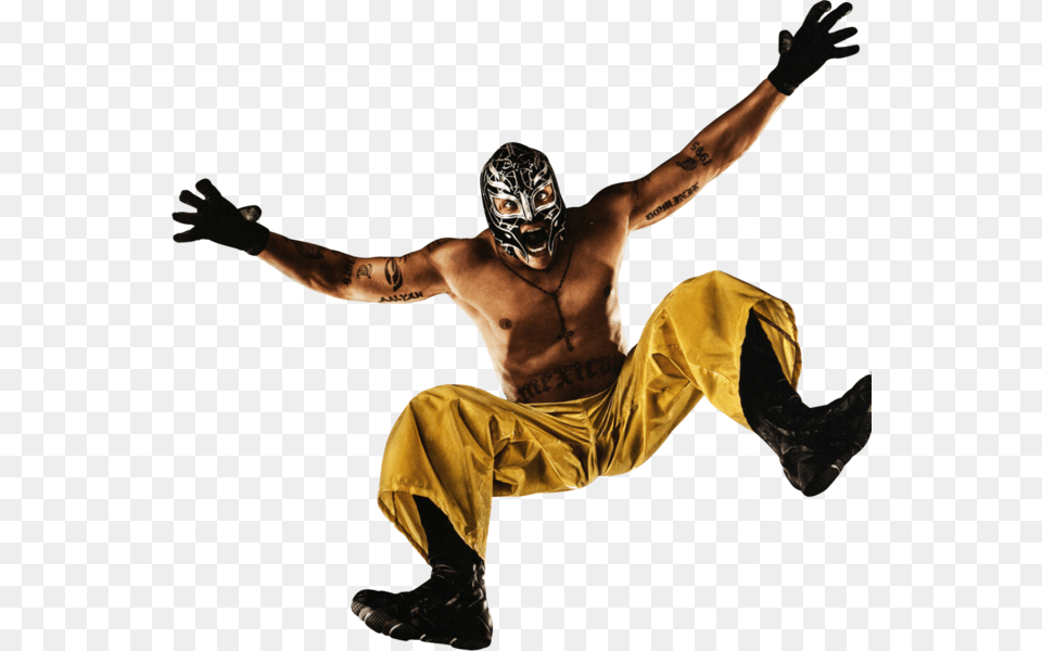 Rey Mysterio, Person, Back, Body Part, Man Png Image