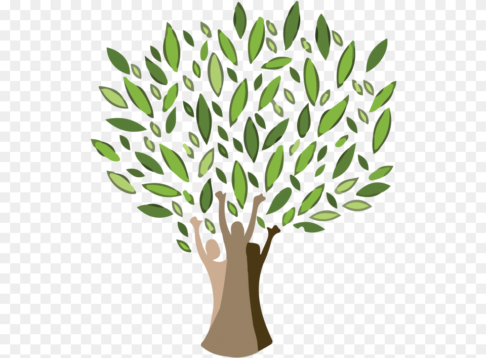 Rey S Staff Cristo Rey Community Center, Green, Leaf, Plant, Potted Plant Free Png Download