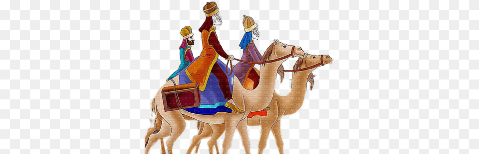 Reyes Magos Victoriabea Arabian Camel, Animal, Mammal, Adult, Bride Free Png