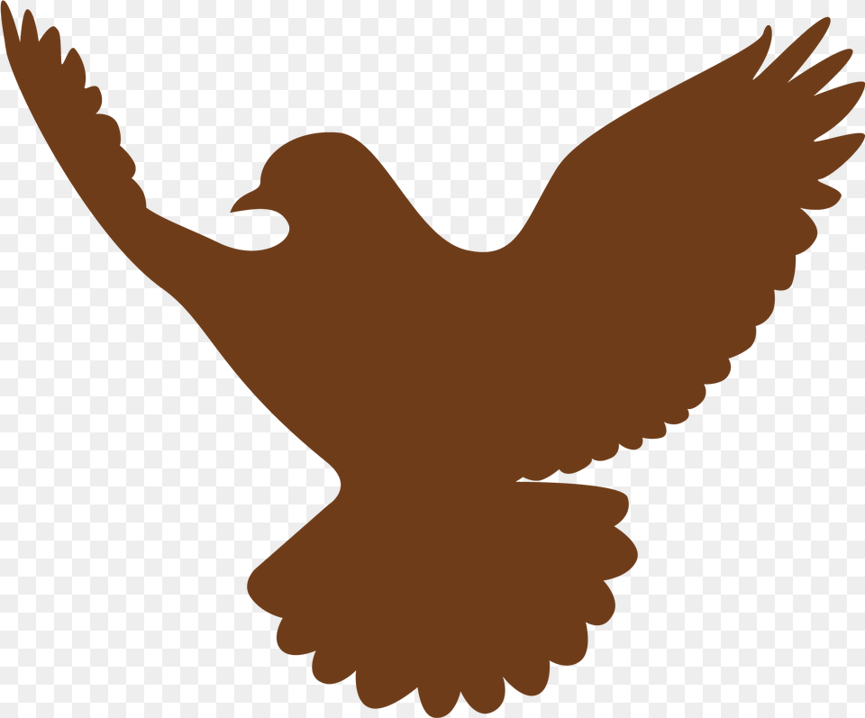 Rh Icon 01 Golden Eagle, Person, Animal, Bird, Pigeon Png