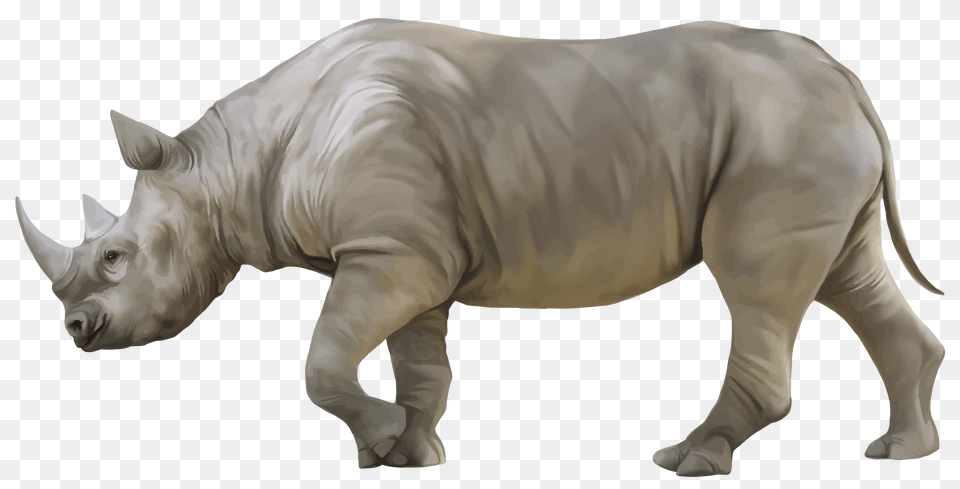 Rhino, Animal, Mammal, Wildlife, Pig Free Transparent Png