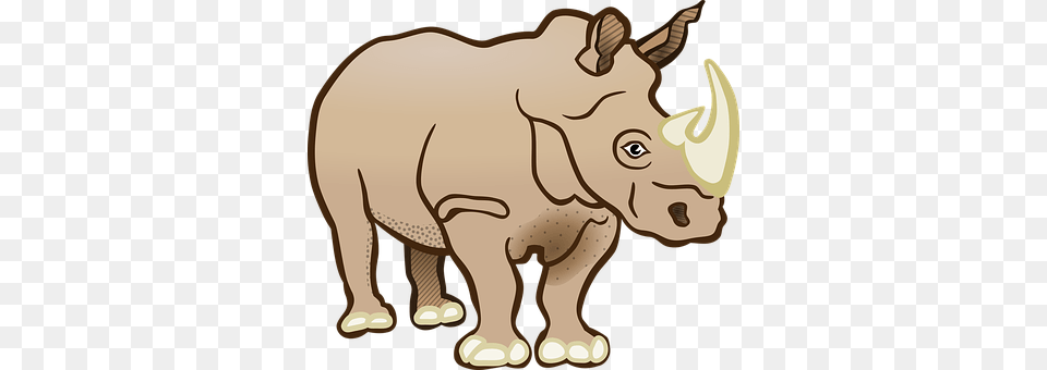 Rhino Animal, Mammal, Wildlife, Person Png