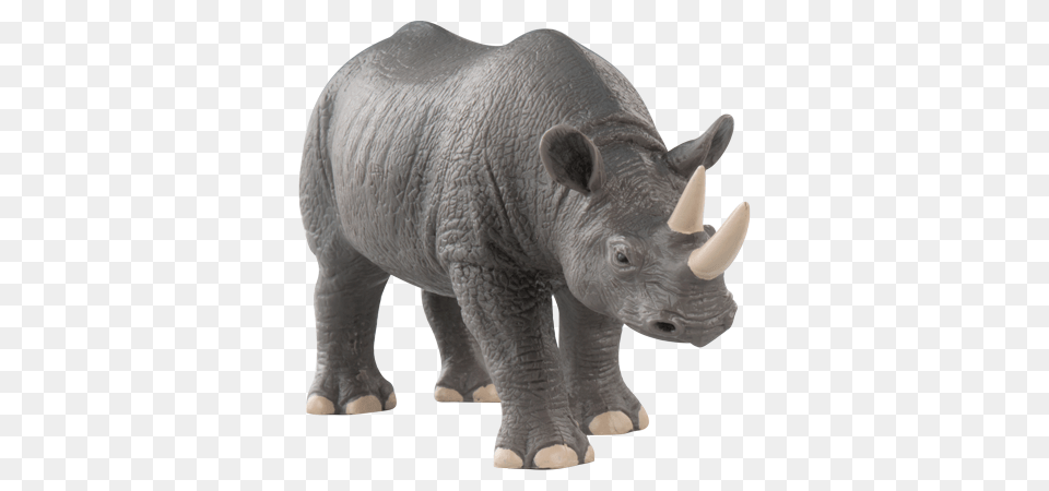 Rhino, Animal, Elephant, Mammal, Wildlife Free Png
