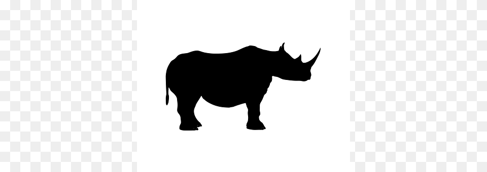 Rhino Animal, Bear, Mammal, Silhouette Free Png