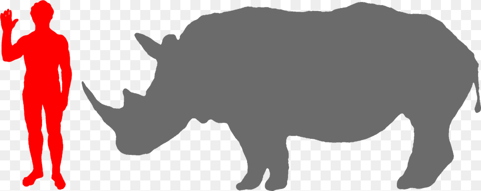 Rhino Clipart Big 5 Moeritherium, Adult, Male, Man, Person Png