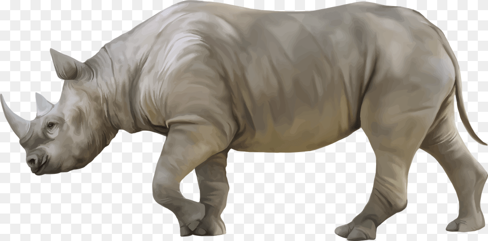 Rhino Clipart Rhino, Animal, Mammal, Wildlife, Pig Free Transparent Png