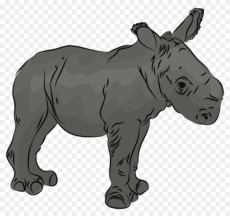Rhino Cub Clipart, Animal, Mammal, Wildlife, Kangaroo Free Png Download