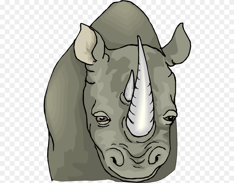 Rhino Face Clipart, Animal, Wildlife, Baby, Person Free Png Download