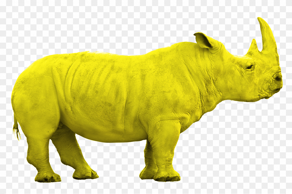Rhino Jaune, Animal, Mammal, Wildlife, Cattle Free Png