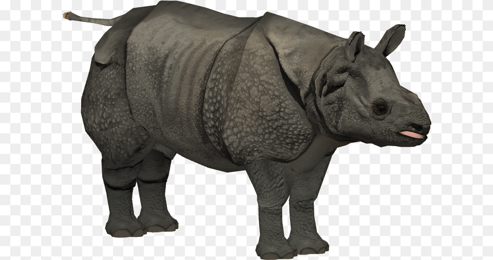 Rhino Javan Rhino, Animal, Wildlife, Mammal, Elephant Free Transparent Png