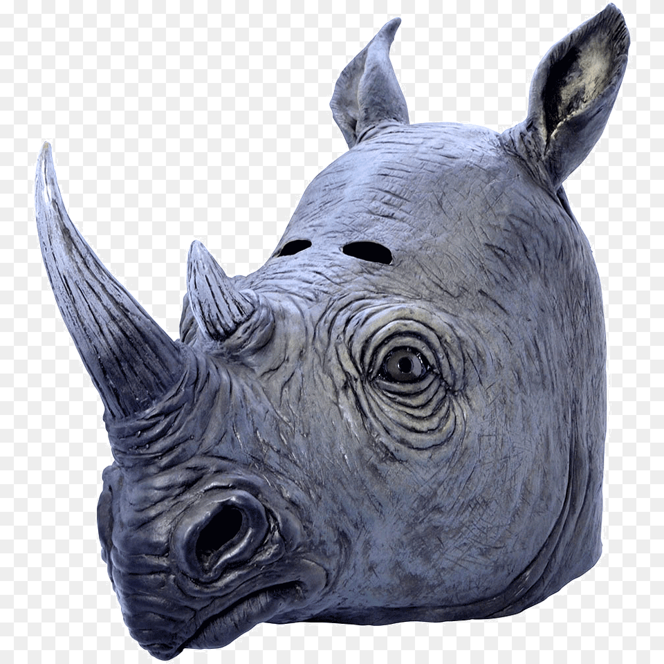 Rhino Mask, Animal, Mammal, Wildlife, Antelope Free Transparent Png