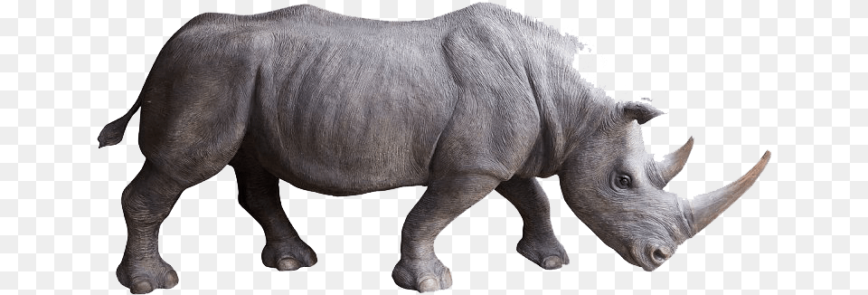 Rhino Photo Background Rhino Side View, Animal, Mammal, Wildlife, Cattle Free Png