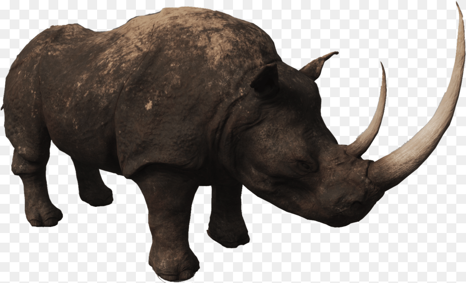 Rhino Photos Animal Conan, Mammal, Elephant, Wildlife Png