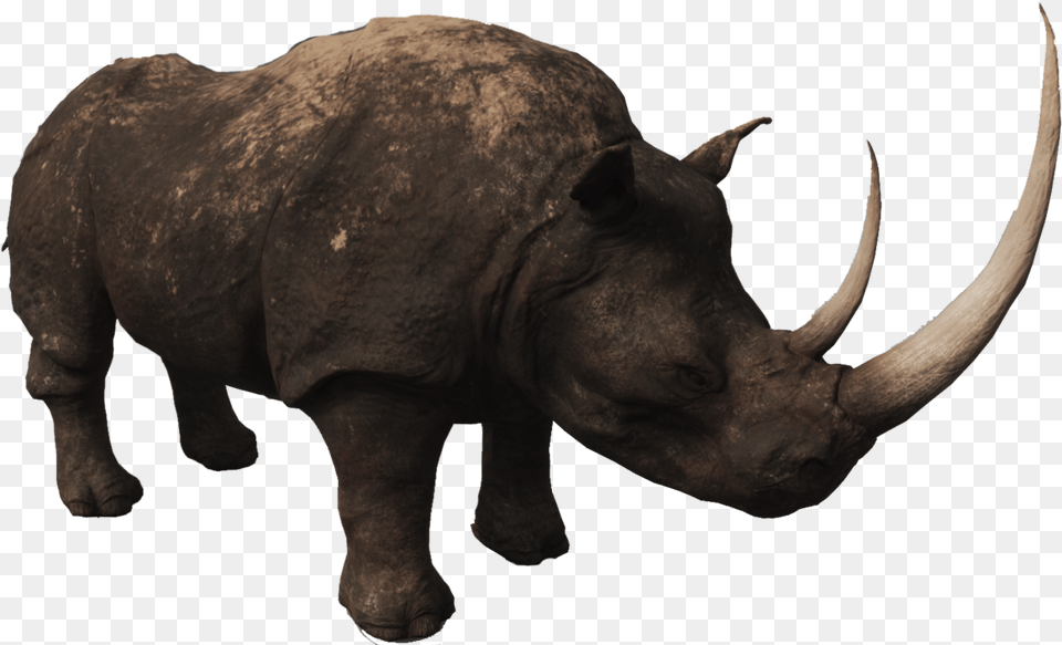 Rhino Photos Rhinoceros, Animal, Mammal, Elephant, Wildlife Png Image
