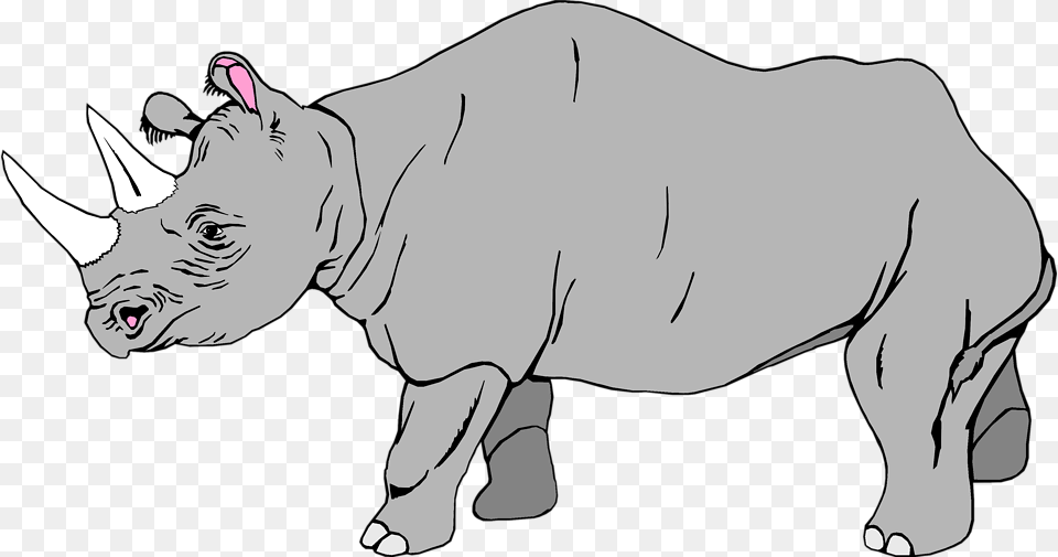 Rhino Vector Black And White Rhino Clipart, Animal, Mammal, Wildlife, Baby Free Transparent Png