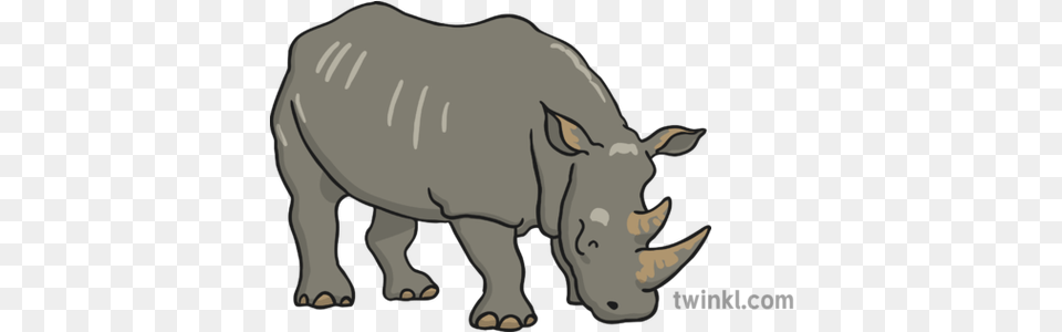 Rhinoceros 1 Illustration Rhino Twinkl, Animal, Wildlife, Mammal Png Image