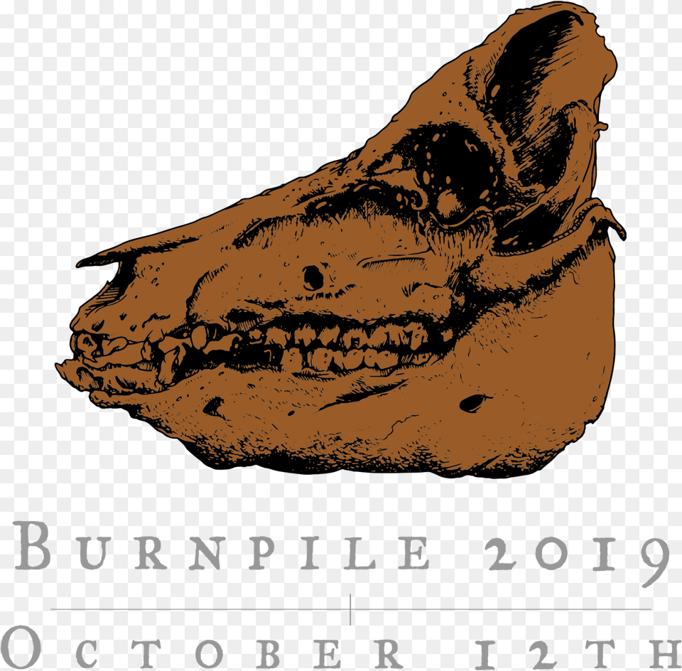 Rhinoceros, Snout, Person, Face, Head Free Transparent Png