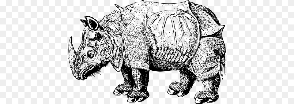 Rhinoceros Gray Free Transparent Png