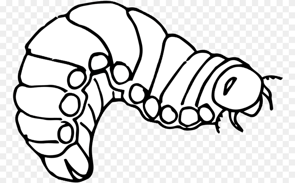 Rhinoceros Beetle Clipart Caterpillar Line Art, Body Part, Hand, Person, Baby Free Png Download