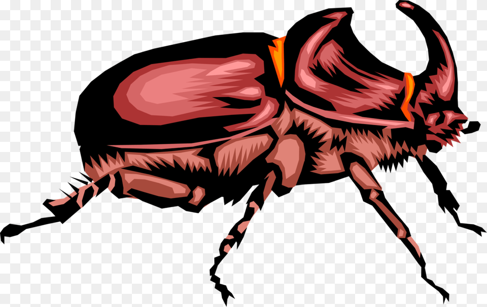 Rhinoceros Beetle Insect, Animal, Dinosaur, Reptile Free Transparent Png