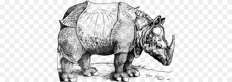 Rhinoceros Of Durer Gray Png