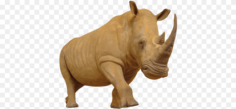 Rhinoceros Photo Elephant, Animal, Wildlife, Mammal, Rhino Free Transparent Png