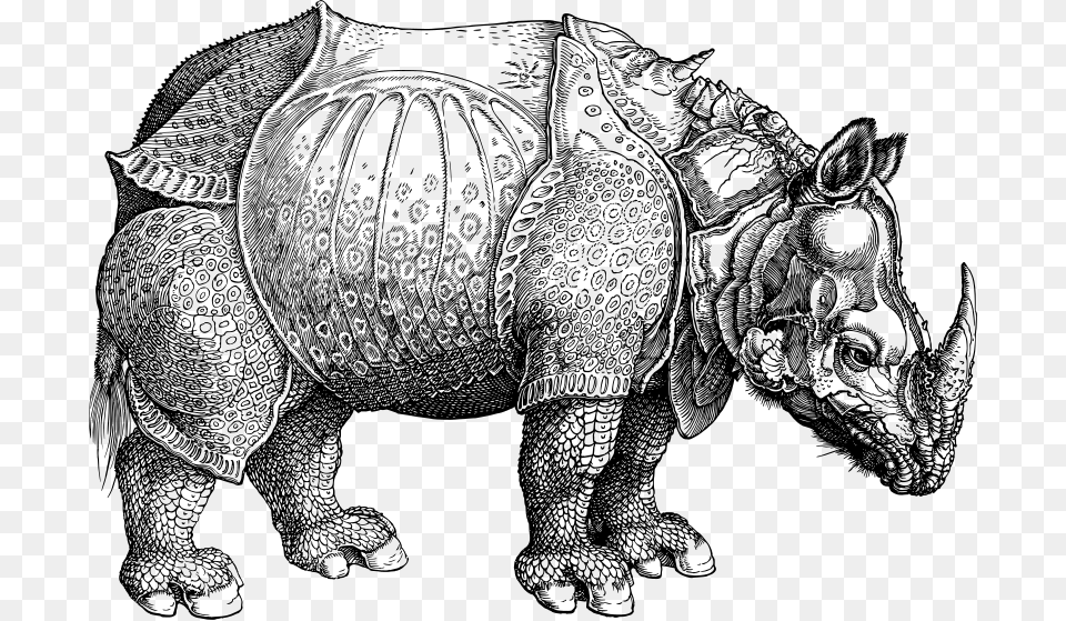 Rhinoceros Rhinoceros Horn Is Made Of Hair, Gray Png