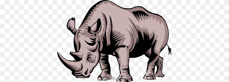 Rhinoceros Royalty Vector Clip Art Illustration, Animal, Mammal, Wildlife, Rhino Free Png Download