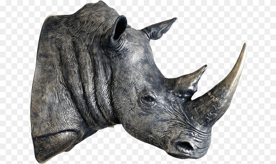 Rhinoceros Transparent Images White Rhino Head Sculpture, Animal, Mammal, Wildlife, Pig Free Png