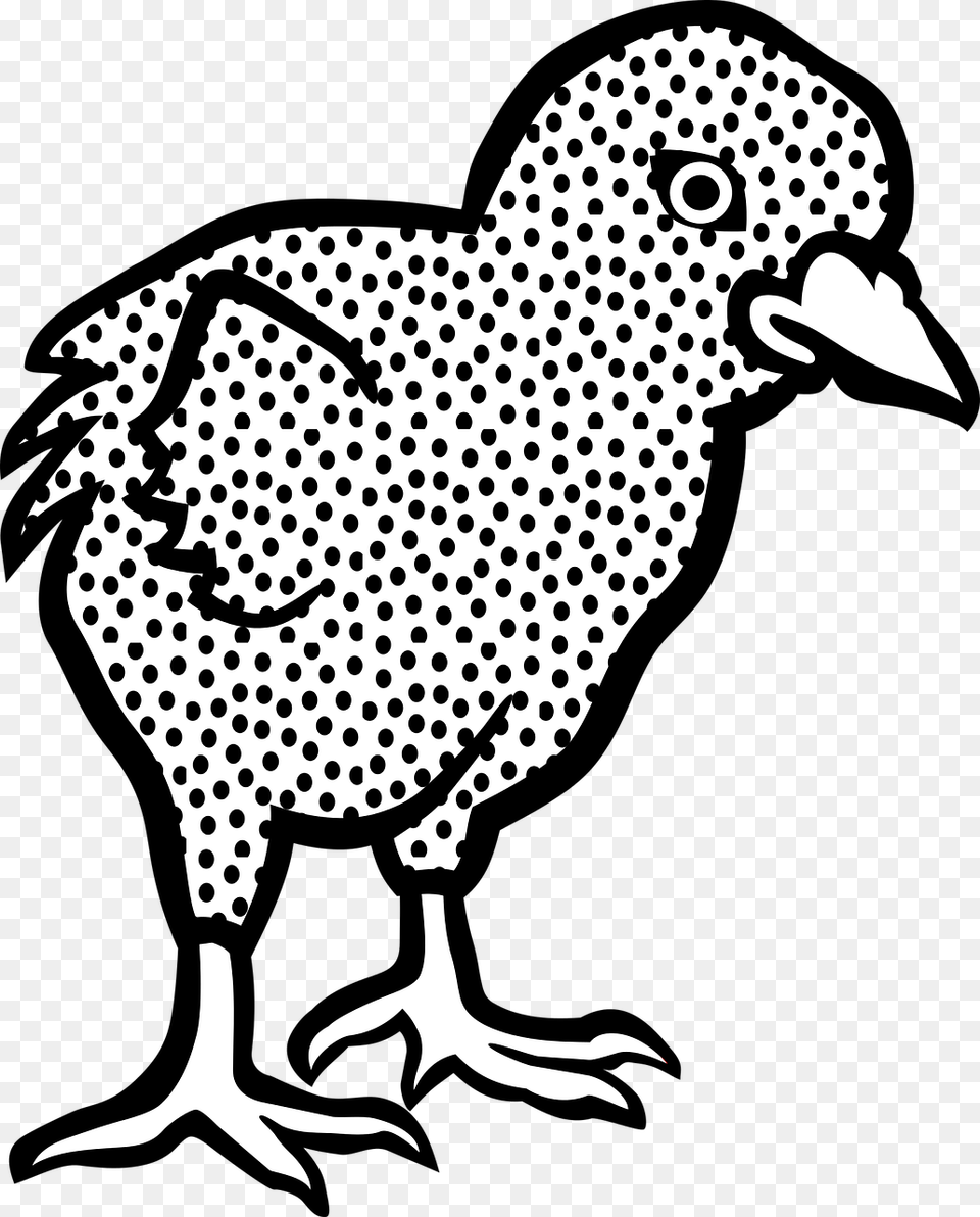 Rhode Island Red Drawings, Animal, Cheetah, Mammal, Wildlife Png Image